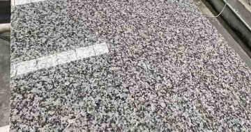 铁岭 芙蓉白光面