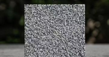 铁岭 芝麻黑荔枝面