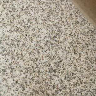 铁岭 黄金麻中黄光面