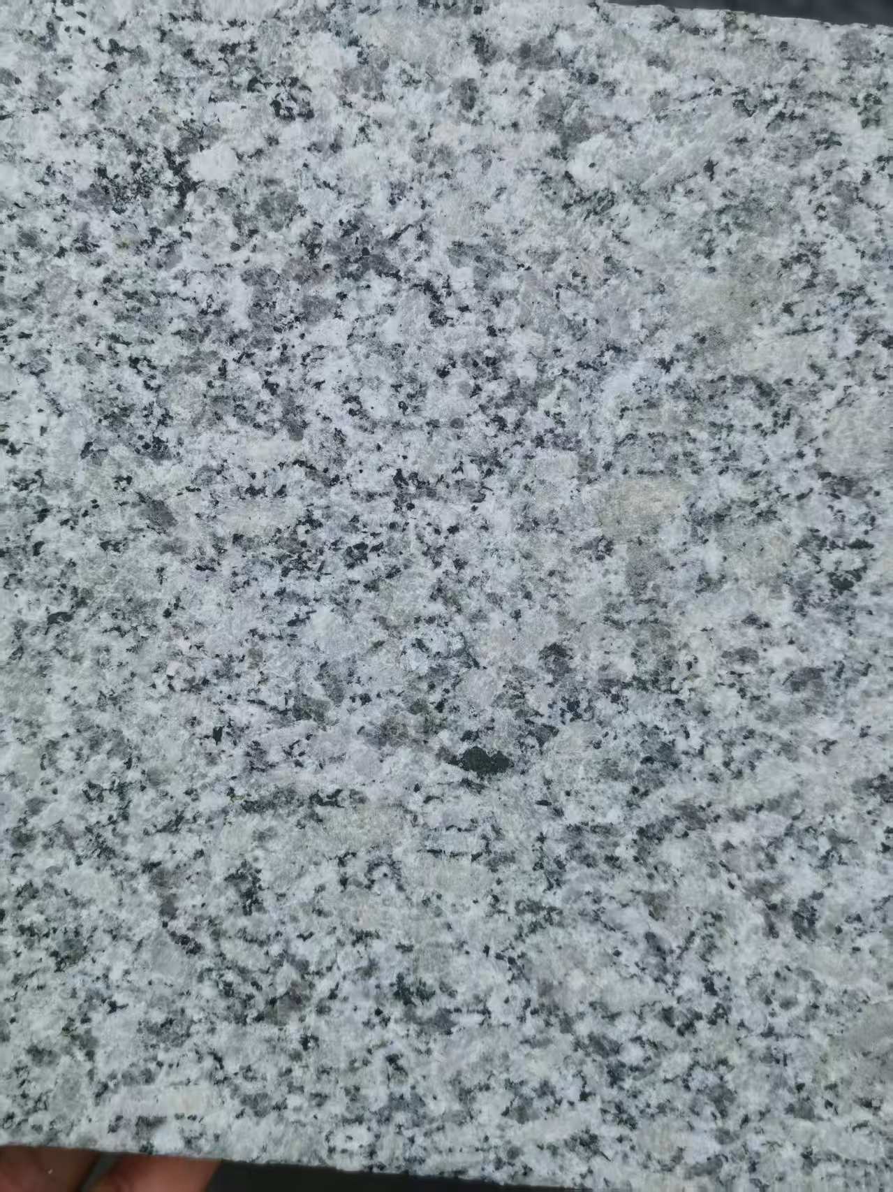 铁岭 芙蓉白火烧面