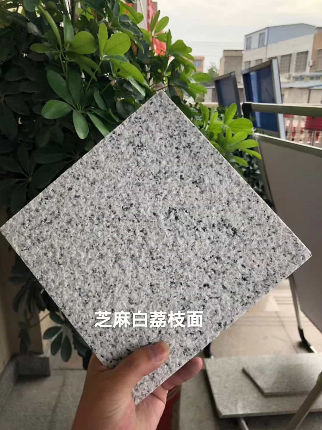 铁岭 芝麻白荔枝面干挂