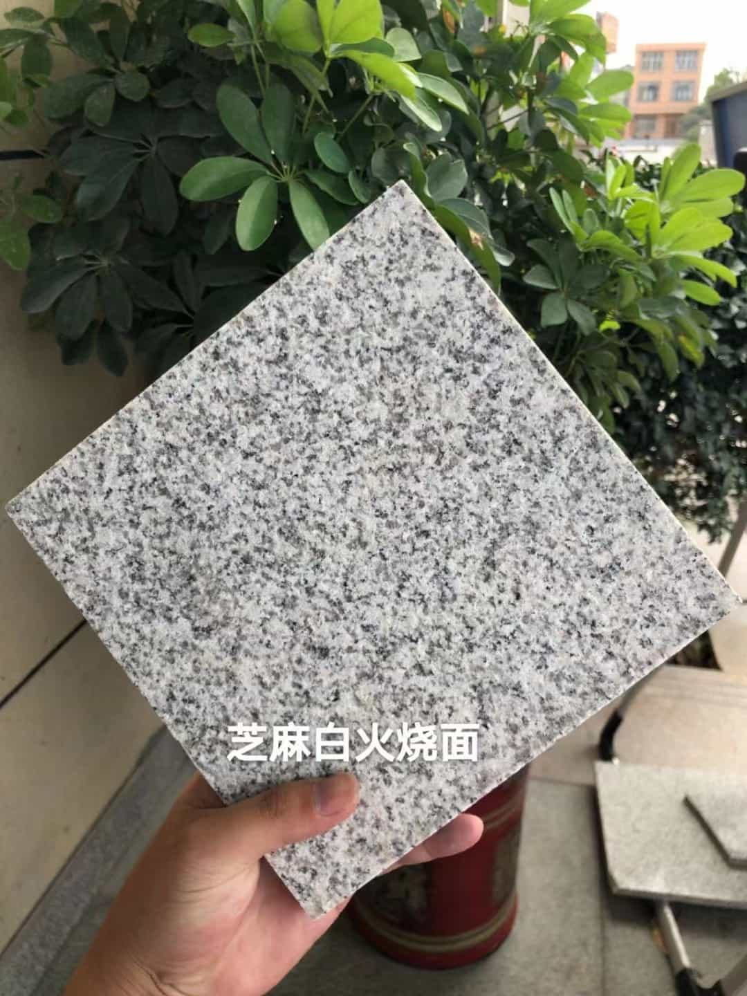 铁岭芝麻白火烧面地铺