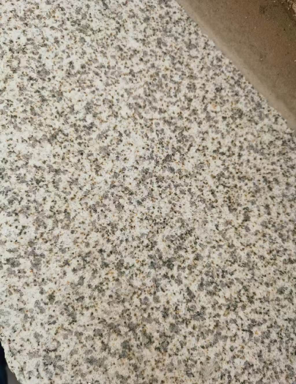 铁岭 黄金麻中黄光面